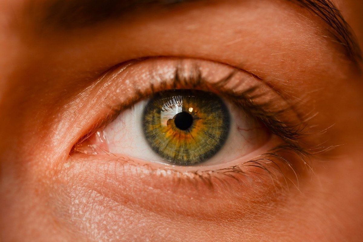 Oczy to osobliwy organ. To właśnie dzięki nim odczuwamy.